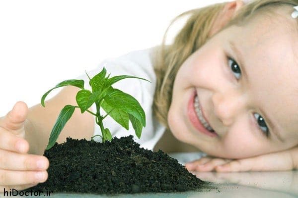 تربیت پایدار