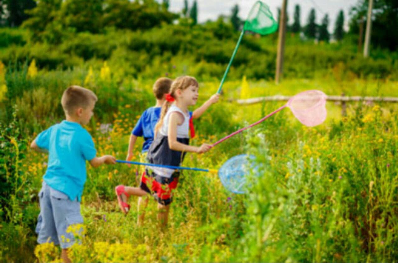 پیامهای تربیتی دکتر هلاکویی