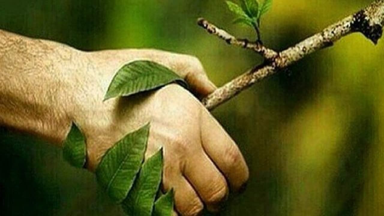 روز طبیعت و طبیعت گردی بر همه ایرانیان مبارک باد